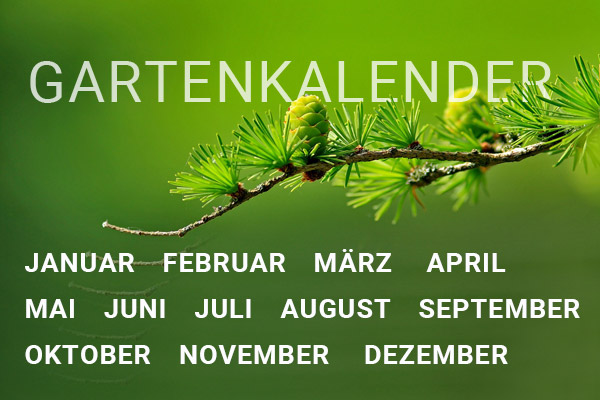 Der Gärtner Osnabrück Gartenkalender