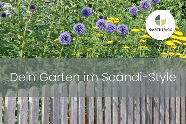 Skandinavischer Gartenstil