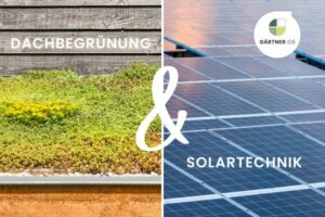 Eine Collage aus Dachbegrünung und Solartechnik