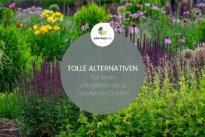 Garten ohne Rasen tolle Alternativen