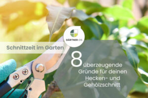 Gehölzschnitt im Garten