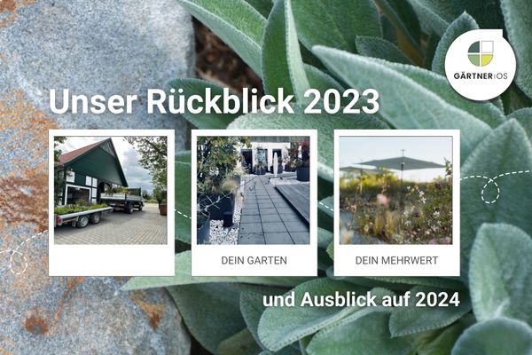 Rückblick 2023 – Gartenprojekte