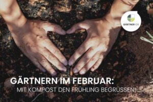 Kompost im Februar