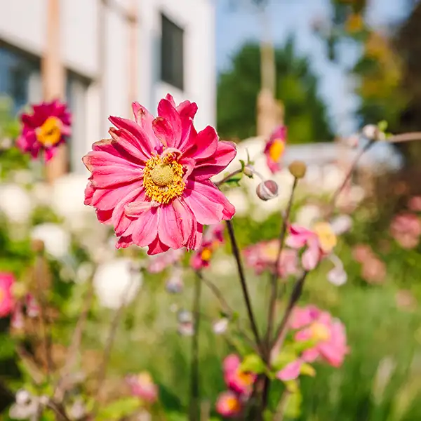 Glaselemente für den Garten