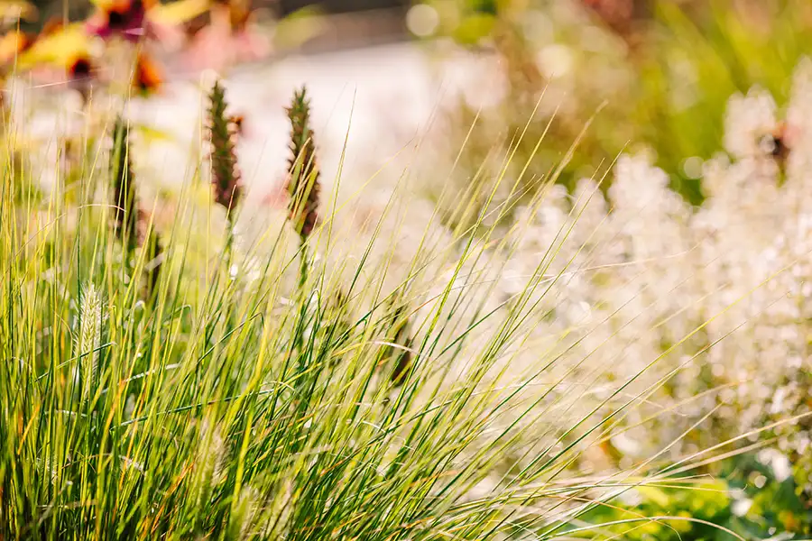 Glaselemente für den Garten